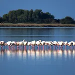 Fragiato Hébergement de vacances Lefkáda